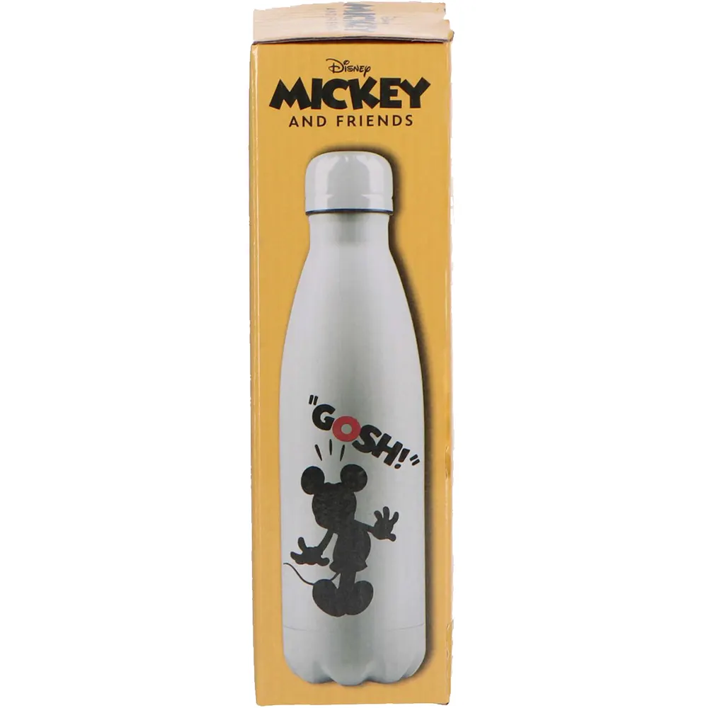 Mickey Mouse Aluminium Water Bottle 600 ML Cyprus Disney Gifts