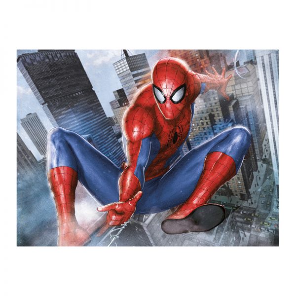 Spiderman painting Canvas Cyprus Gifts