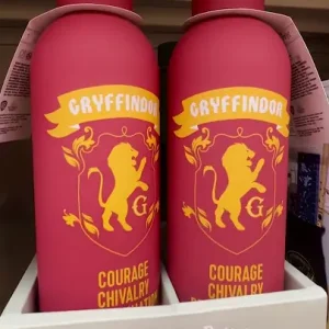 Durable Harry Potter stainless steel bottle used outdoors during a trip.