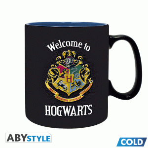 Harry Potter Mug Letter From Hogwarts Cyprus