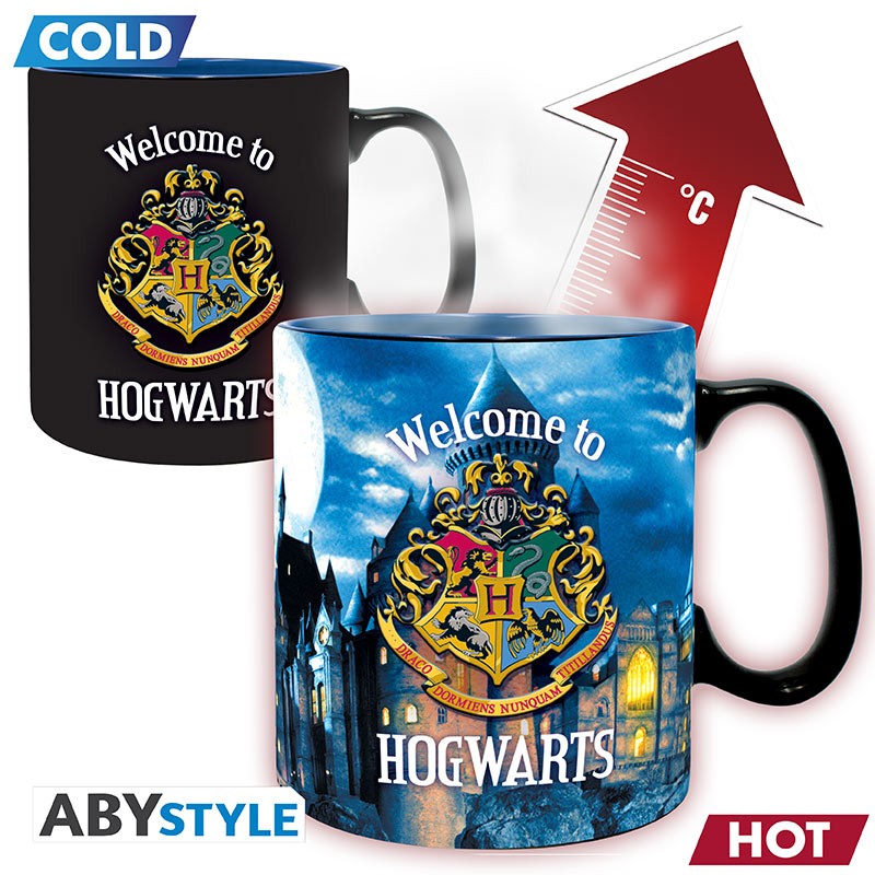 Harry Potter Mug Letter From Hogwarts Cyprus 1